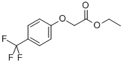 (4-TRIFLUOROMETHYLPHENOXY) ACETIC ACID ETHYL ESTER CAS#: 442125-30-6