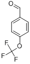 4-(Trifluoromethoxy)benzaldehyde CAS#: 659-28-9