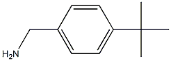 (4-tert-Butyl-phenyl)-Methyl-aMine CAS#: 5279-59-4