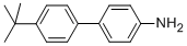 4TERTBUTYL4AMINOBIPHENYL CAS#: 5728-71-2