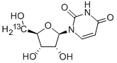 [5'-13C]URIDINE CAS#: 478511-16-9