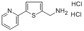 [5-(2-PYRIDINYL)-2-THIENYL]METHYLAMINE DIHYDROCHLORIDE CAS#: 423768-36-9