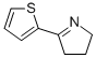 5-(2-THIENYL)-3,4-DIHYDRO-2H-PYRROLE CAS#: 5424-42-0