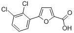 5-(2,3-DICHLOROPHENYL)-2-FUROIC ACID CAS#: 55462-54-9