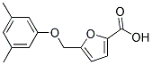 5-[(3,5-DIMETHYLPHENOXY)METHYL]-2-FUROIC ACID CAS#: 405898-00-2