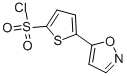 5-(5-ISOXAZYL)THIOPHENE-2-SULFONYL CHLORIDE CAS#: 551930-53-1