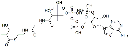 [5-(6-aminopurin-9-yl)-4-hydroxy-2-[[hydroxy-[hydroxy-[3-hydroxy-3-[2-[2-(3-hydroxy-2-methyl-butanoyl)sulfanylethylcarbamoyl]ethylcarbamoyl]-2,2-dimethyl-propoxy]-phosphoryl]oxy-phosphoryl]oxymethyl]oxolan-3-yl]oxyphosphonic acid CAS#: 52227-66-4
