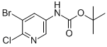 (5-BROMO-6-CHLORO-PYRIDIN-3-YL)-CARBAMIC ACID TERT-BUTYL ESTER CAS#: 405939-59-5