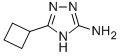 5-CYCLOBUTYL-4H-1,2,4-TRIAZOL-3-YLAMINE CAS#: 496057-24-0