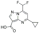 5-CYCLOPROPYL-7-DIFLUOROMETHYL-PYRAZOLO[1,5-A]PYRIMIDINE-3-CARBOXYLIC ACID CAS#: 438227-80-6