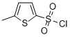5-METHYL-2-THIOPHENESULFONYL CHLORIDE CAS#: 55854-45-0