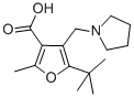 5-TERT-BUTYL-2-METHYL-4-PYRROLIDIN-1-YLMETHYL-FURAN-3-CARBOXYLIC ACID CAS#: 435341-86-9