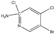 5-broMo-2,4-dichloro-[3]pyridylaMine CAS#: 503425-84-1