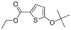 5-tert-Butoxy-2-thiophenecarboxylic acid ethyl ester CAS#: 55162-42-0