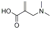 N,N-DiMethyl-2-Methylene-β-alanine CAS#: 5415-98-5