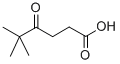 5,5-DIMETHYL-4-OXOHEXANOIC ACID CAS#: 57965-24-9