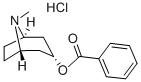 ENDO-TROPACOCAINE (8-METHYL-8-AZABICYCLO[3.2.1]OCT-3-YL) BENZOATE HCL CAS#: 55623-27-3