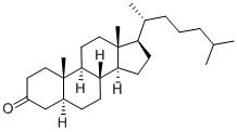 5ALPHA-CHOLESTAN-3-ONE CAS#: 566-88-1