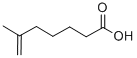 6-METHYL-6-HEPTENOIC ACID CAS#: 5212-67-9