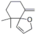 6,6-Dimethyl-10-methylene-1-oxaspiro[4.5]dec-3-ene CAS#: 54345-69-6