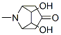 6,7-Dihydroxy-8-methyl-8-azabicyclo[3.2.1]octan-3-one CAS#: 54725-52-9