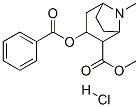 8-Azabicyclo[3.2.1]octane-2-carboxylic acid, 3-(benzoyloxy)-8-methyl-, methyl ester, hydrochloride, (exo,exo)-(+-)- CAS#: 56222-58-3