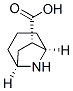 8-Azabicyclo[3.2.1]octane-6-carboxylicacid,(1S,5R,6S)-(9CI) CAS#: 446873-14-9