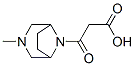 8-(Carboxyacetyl)-3-methyl-3,8-diazabicyclo[3.2.1]octane CAS#: 57269-36-0
