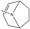 8-Methyl-8-azabicyclo[3.2.1]oct-2-ene CAS#: 529-18-0