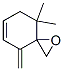 8,8-Dimethyl-4-methylene-1-oxaspiro[2.5]oct-5-ene CAS#: 54345-60-7
