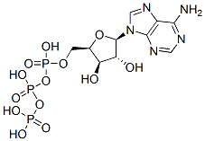 9-beta-xylofuranosyladenine 5'-triphosphate CAS#: 653-60-1