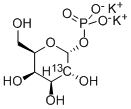 ALPHA-D-[2-13C]GALACTOPYRANOSYL 1-PHOSPHATE DIPOTASSIUM SALT CAS#: 478518-80-8