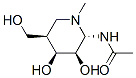 Acetamide, N-[(2S,3R,4S,5R)-3,4-dihydroxy-5-(hydroxymethyl)-1-methyl-2-piperidinyl]- (9CI) CAS#: 404384-93-6