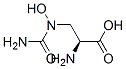 Alanine,  3-[(aminocarbonyl)hydroxyamino]- CAS#: 56618-04-3