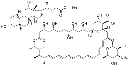 Amphotericin B-deoxycholate CAS#: 58501-21-6