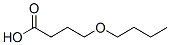BUTANOICACID,4-BUTOXY- CAS#: 55724-73-7