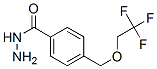 Benzoic acid, 4-[(2,2,2-trifluoroethoxy)methyl]-, hydrazide (9CI) CAS#: 438466-57-0