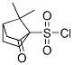 Bicyclo[2.2.1]heptane-1-sulfonyl chloride, 7,7-dimethyl-2-oxo- (9CI) CAS#: 408335-82-0
