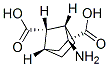 Bicyclo[2.2.1]heptane-2,7-dicarboxylic acid, 2-amino-, (1S,2S,4S,7S)- (9CI) CAS#: 499982-29-5