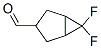 Bicyclo[3.1.0]hexane-3-carboxaldehyde, 6,6-difluoro- (9CI) CAS#: 494210-62-7
