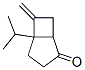 Bicyclo[3.2.0]heptan-2-one, 6-methylene-5-(1-methylethyl)- (9CI) CAS#: 519184-01-1