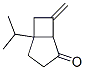Bicyclo[3.2.0]heptan-2-one, 7-methylene-5-(1-methylethyl)- (9CI) CAS#: 519183-78-9