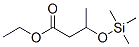 Butanoic acid, 3-[(trimethylsilyl)oxy]-, ethyl ester CAS#: 55816-59-6