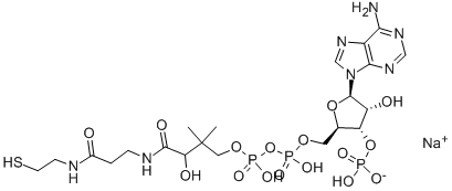 COENZYME A SODIUM SALT CAS#: 55672-92-9