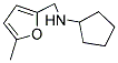 CYCLOPENTYL-(5-METHYL-FURAN-2-YLMETHYL)-AMINE CAS#: 473732-73-9