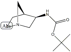 Carbamic acid, (1R,3R,4S)-1-azabicyclo[2.2.1]hept-3-yl-, 1,1-dimethylethyl CAS#: 473795-32-3