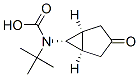 Carbamic acid, [(1alpha,5alpha,6alpha)-3-oxobicyclo[3.1.0]hex-6-yl]-, 1,1-dimethylethyl CAS#: 504438-04-4