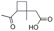 Cyclobutaneacetic acid, 2-acetyl-1-methyl- (9CI) CAS#: 412011-51-9