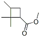 Cyclobutanecarboxylic acid, 2,2,3-trimethyl-, methyl ester (9CI) CAS#: 412346-37-3