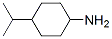 Cyclohexanamine, 4-(1-methylethyl)- (9CI) CAS#: 52430-81-6